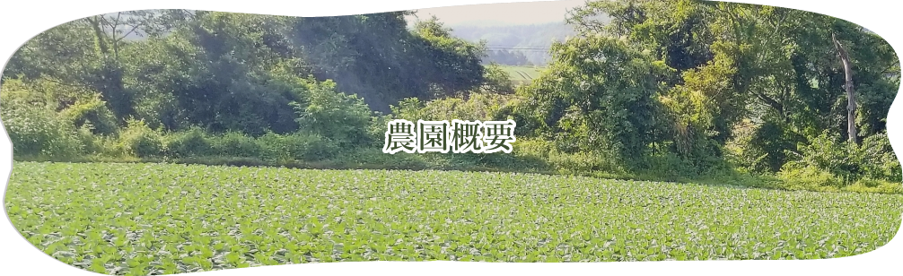 農園概要